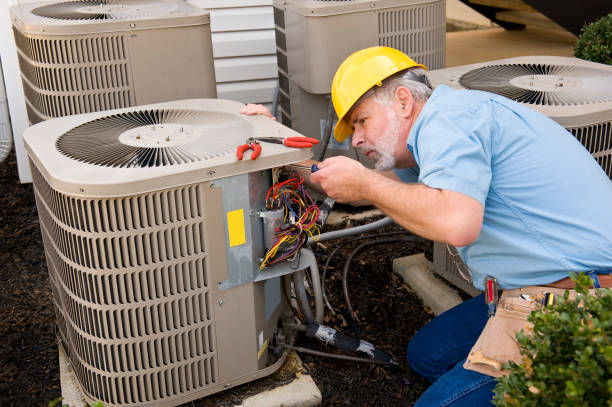 Best HVAC Tune-Up Services  in Honokaa, HI